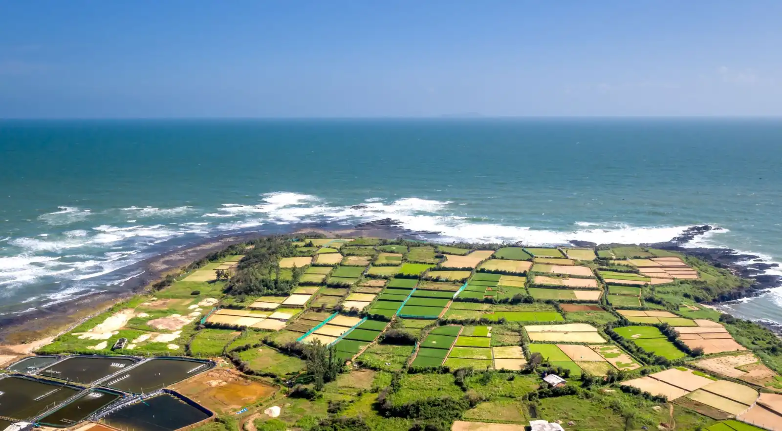 海南中医药研究所附属琼岛医院综合医疗服务项目解析：内科外科与中医科协同诊疗模式