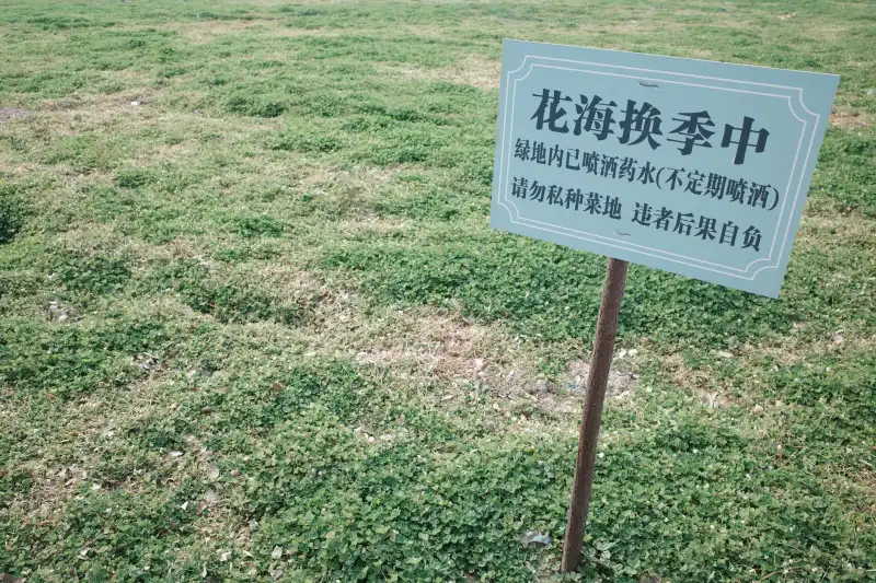海南琼岛医院综合医疗服务流程与患者就诊体验优化
