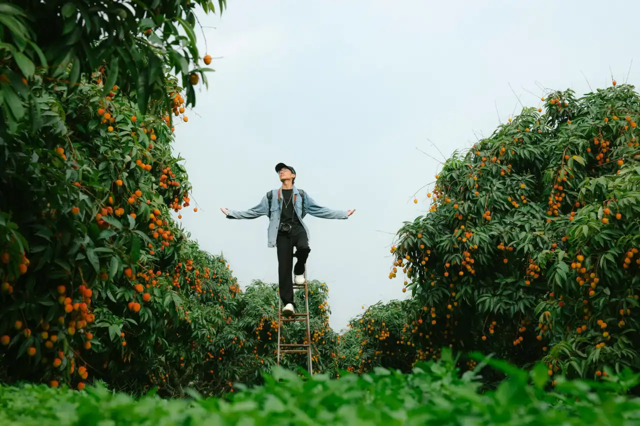 海南中医药研究所附属琼岛医院内科外科综合医疗服务解析
