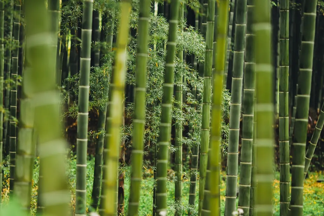 海南中医药研究所附属琼岛医院中西医结合治疗内科疾病的临床路径解析