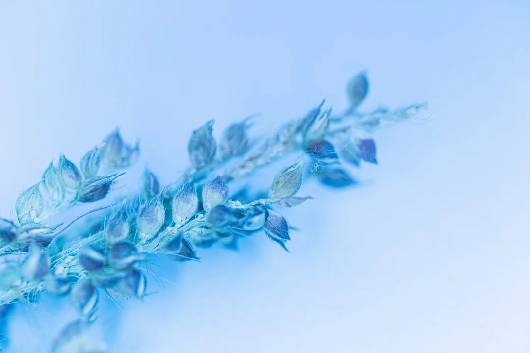 海南中医药研究所附属琼岛医院中医科特色诊疗方案及应用案例