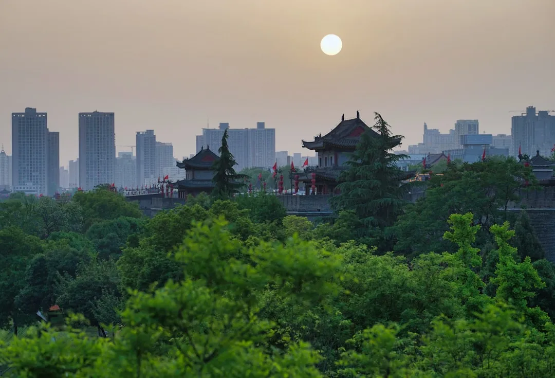 中西医结合治疗在海南琼岛医院的临床应用与康复指导